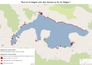 Baignade chevaux Lac du Salagou