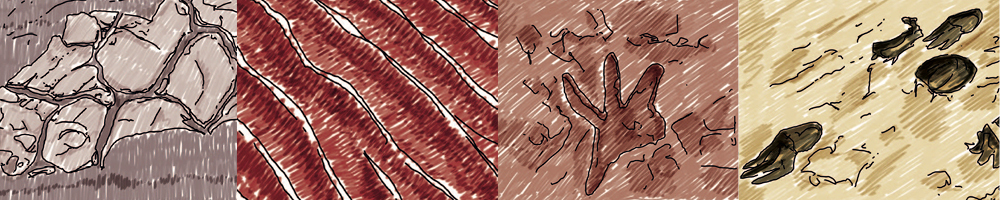 dessin paléontologie grand site Salagou Moureze