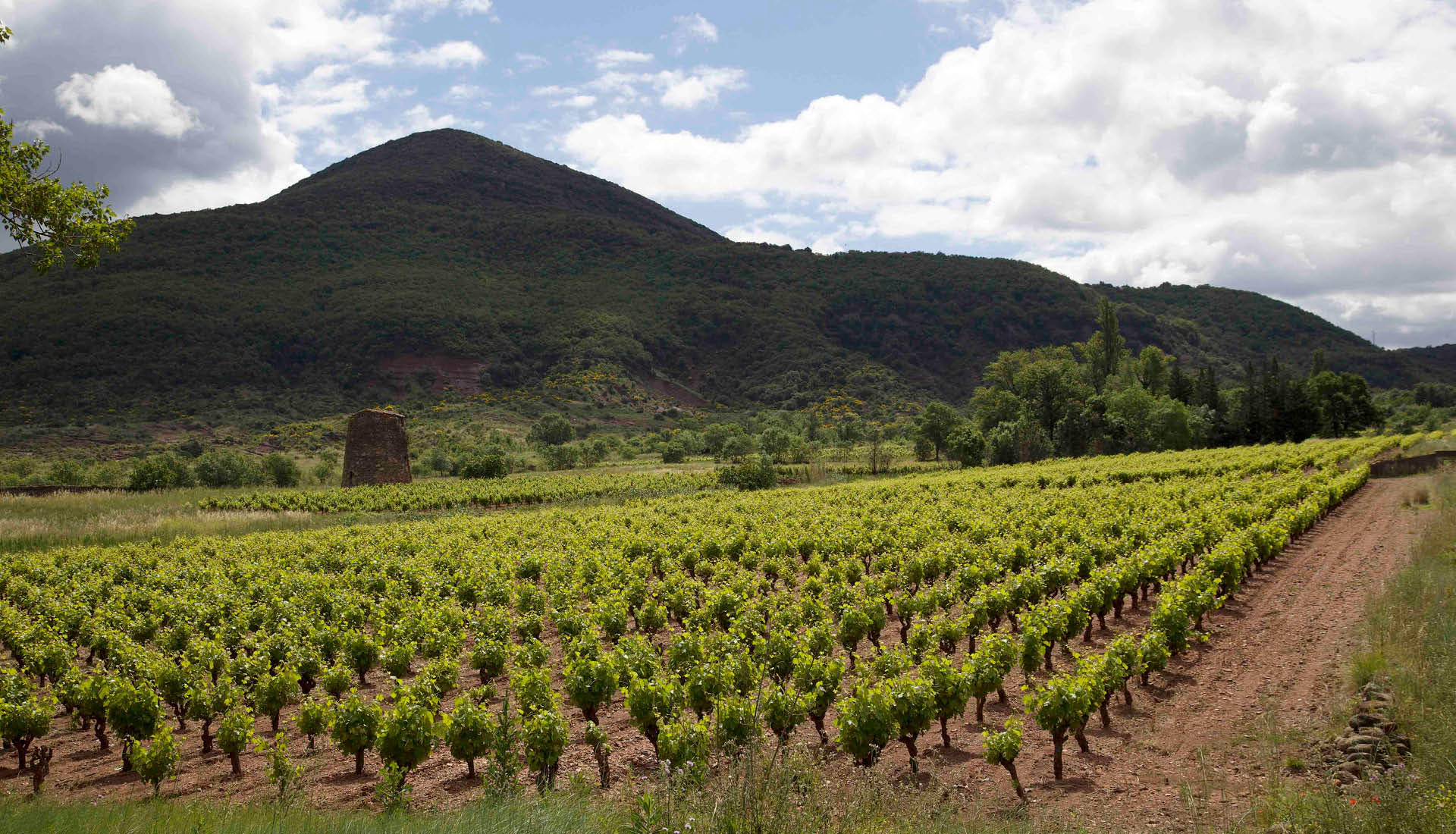 Cultures viticoles Grand Site Salagou © L.Micola 1