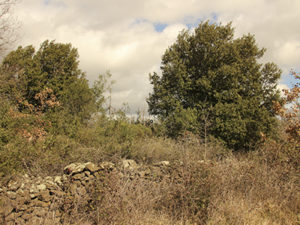 action entretenir le territoire Auverne-avant