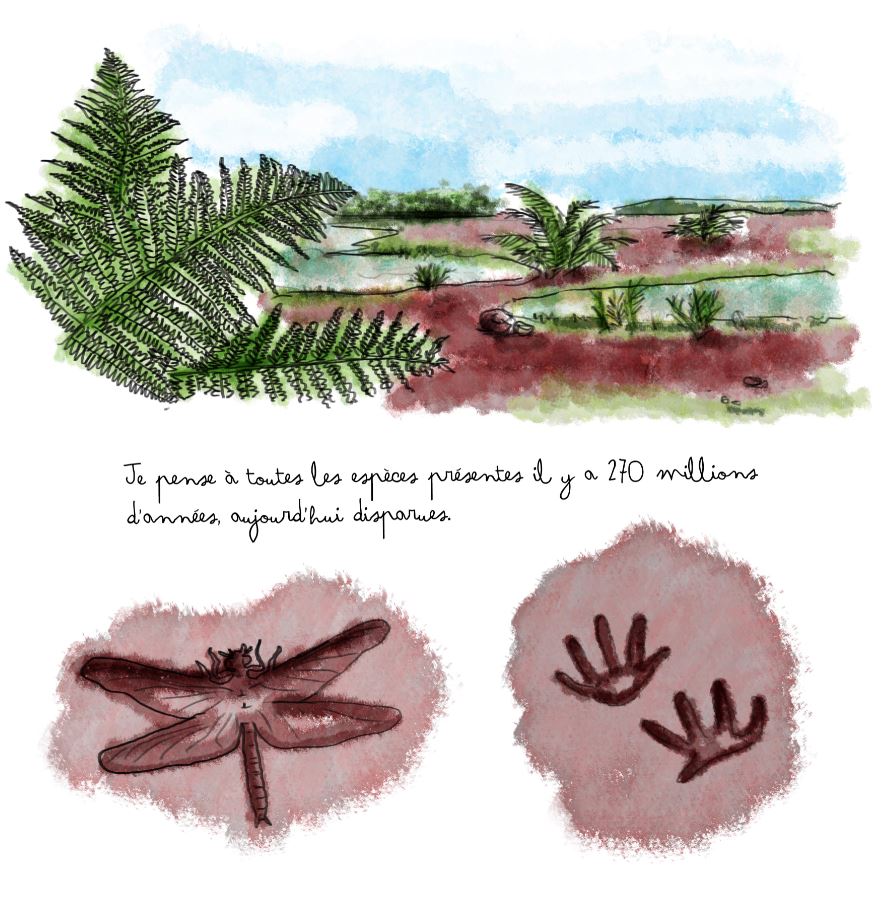 espèces 270 millions©Carnet de voyage_Bec Bunsen