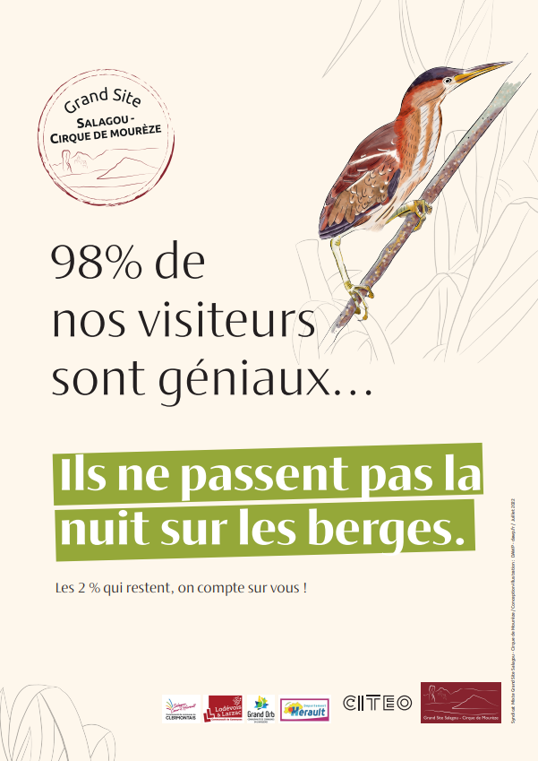 affiche oiseau geniaux