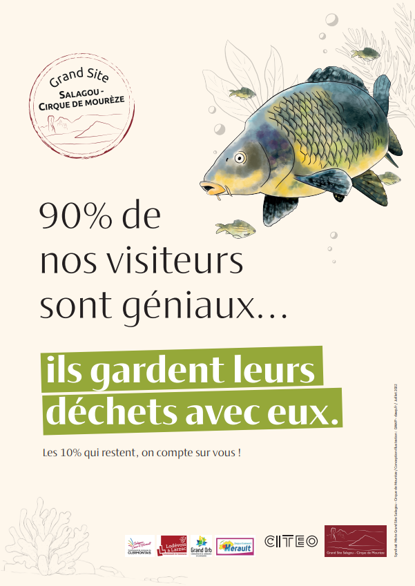 affiche poisson geniaux